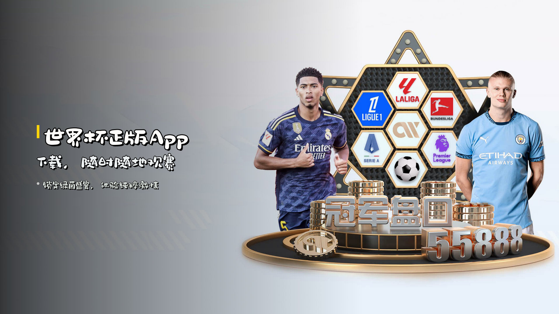 世界杯<strong>正版App</strong>下载，随时随地观赛